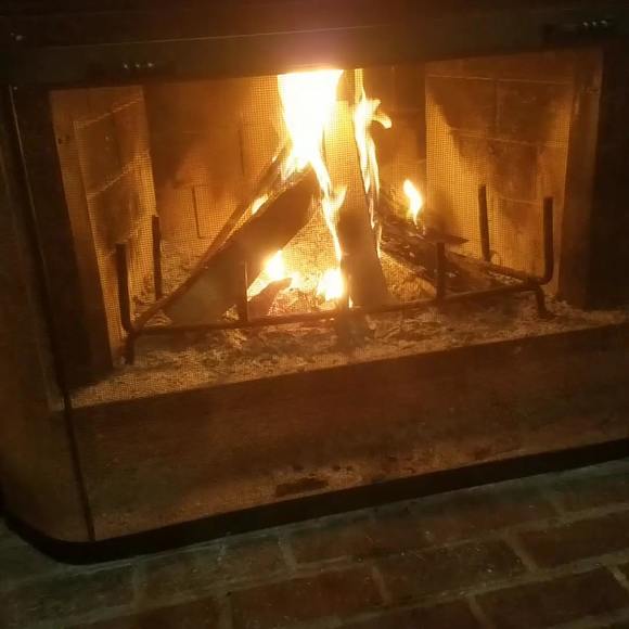 Meet your Posher, Ruth - Picture 1 of 1